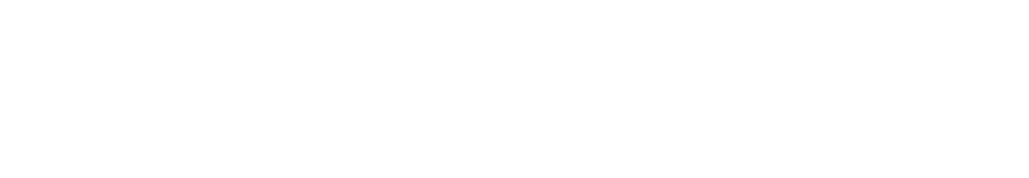 Dormsoup primary logo